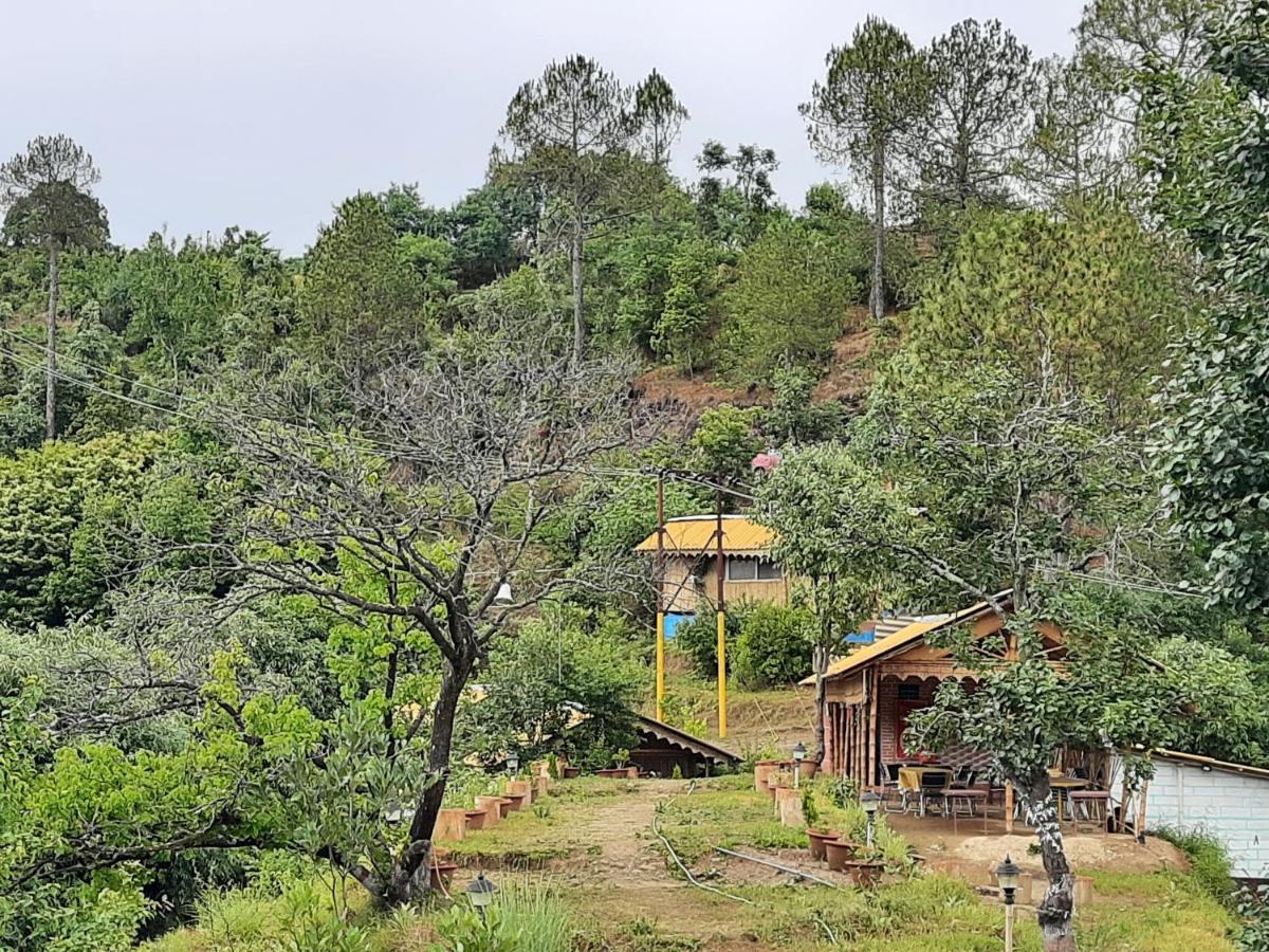 Mukteshwar Grand Retreat Dış mekan fotoğraf